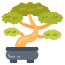 Bonsai 