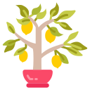 fruta de limon icon