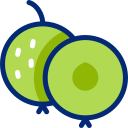 fruta tropical animated icon