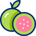 guayaba 