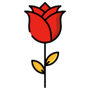 rosa icon