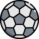 pelota icon