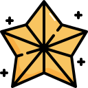 estrella icon