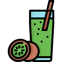 fruta icon