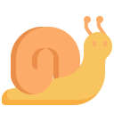 animal icon