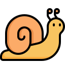 animal icon