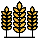 음식 icon