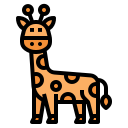 animal icon