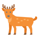 animal icon