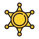 estrella icon