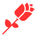 rosa icon