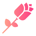 rosa icon