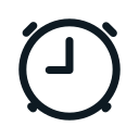 reloj icon