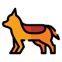 perro icon