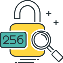 sha 256 icon