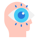 ojo icon