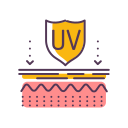 Layer 