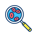 verificar 