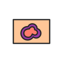 Layer 