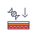 Layer 