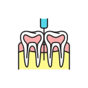 odontología 