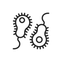 virus 