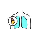 폐 icon