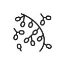 Вирус icon
