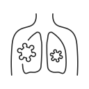 pulmones icon