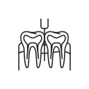 odontología 