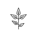 Plant icon