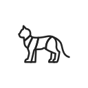 animal icon