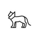 animal icon