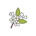 fleur 