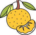 fruta icon