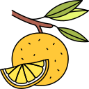 fruta icon