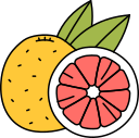 fruta icon