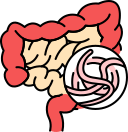 mucormicose 