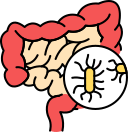Virus 