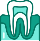 diente 