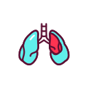 pulmones icon