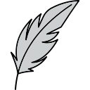 pluma icon