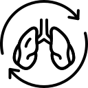 organo icon