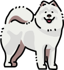 perro icon