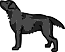 perro icon