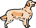 perro icon