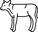 animal icon