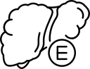 enfermedad icon