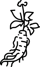 anlage 