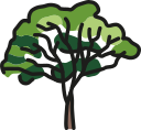 Árbol icon